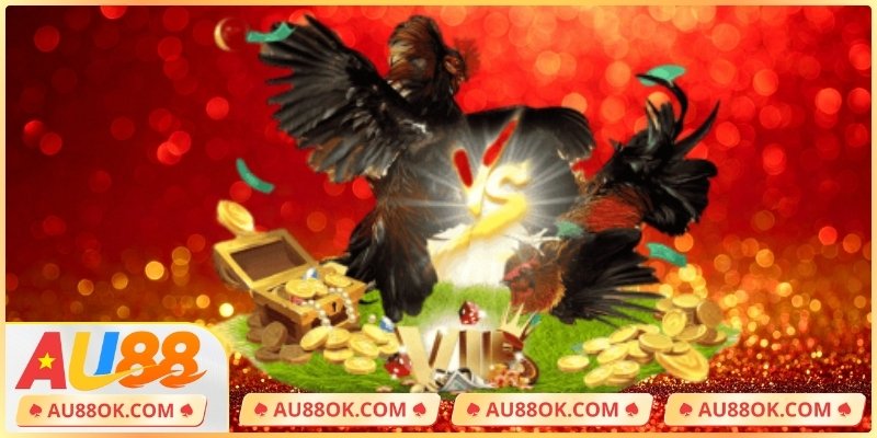 Phân tích và lựa chọn chiến kê