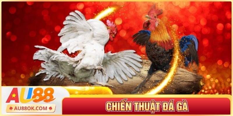 Chiến Thuật Đá Gà
