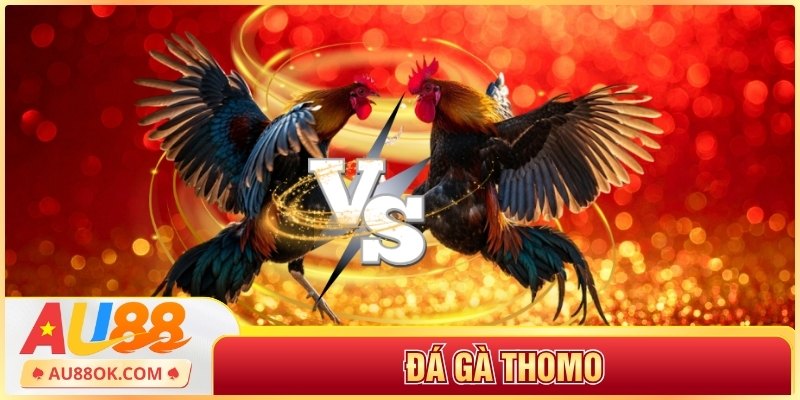 Đá gà Thomo